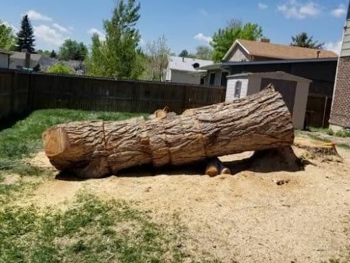  for Sloan Tree Service in Aurora, CO