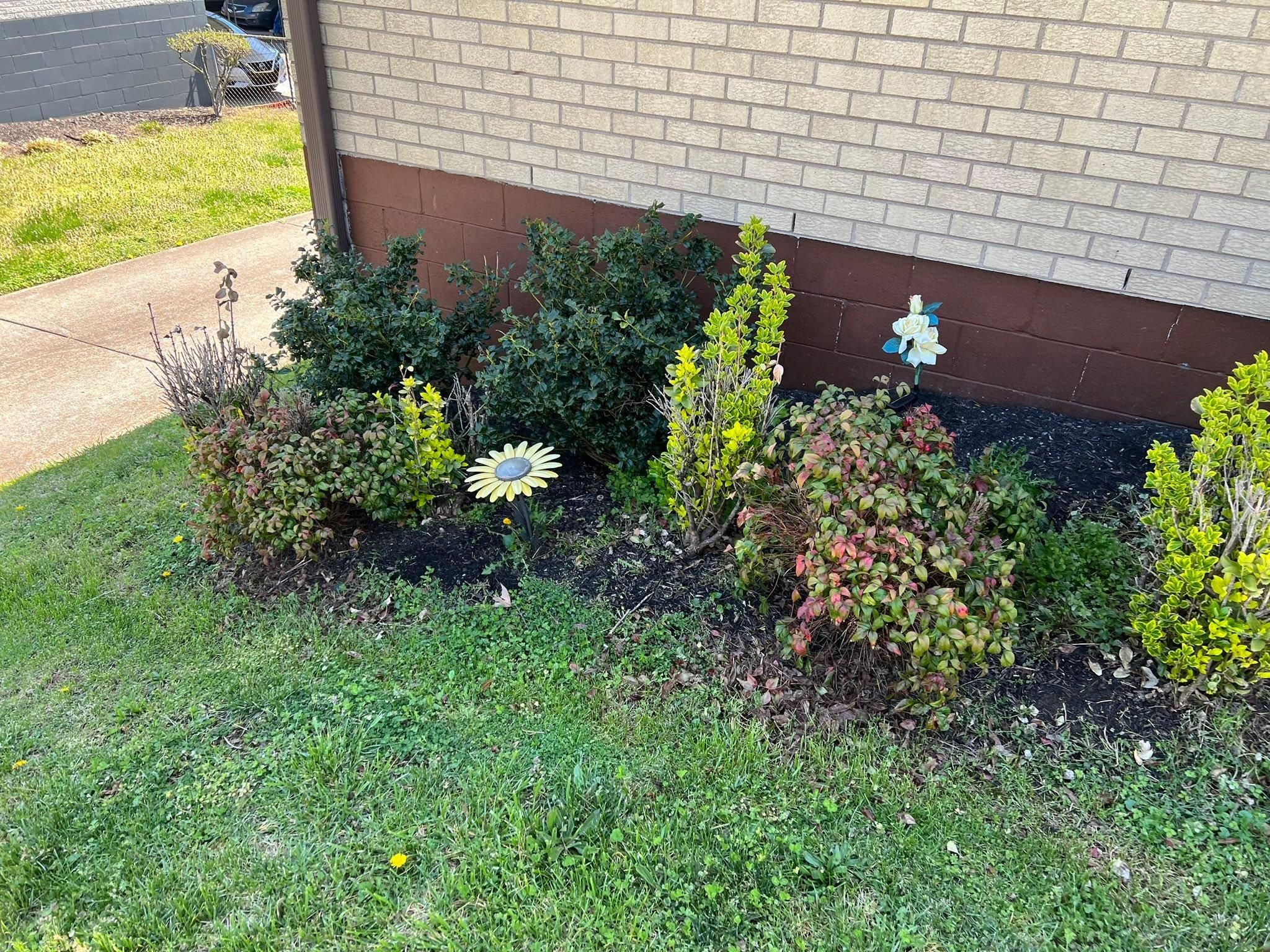  for Grass Management in Nashville, TN