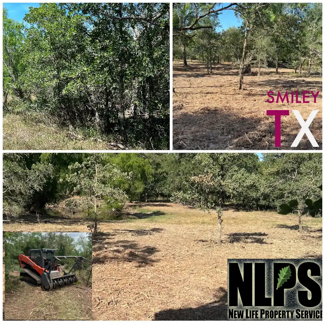 property management in Hallettsville, Texas New Life Property Service