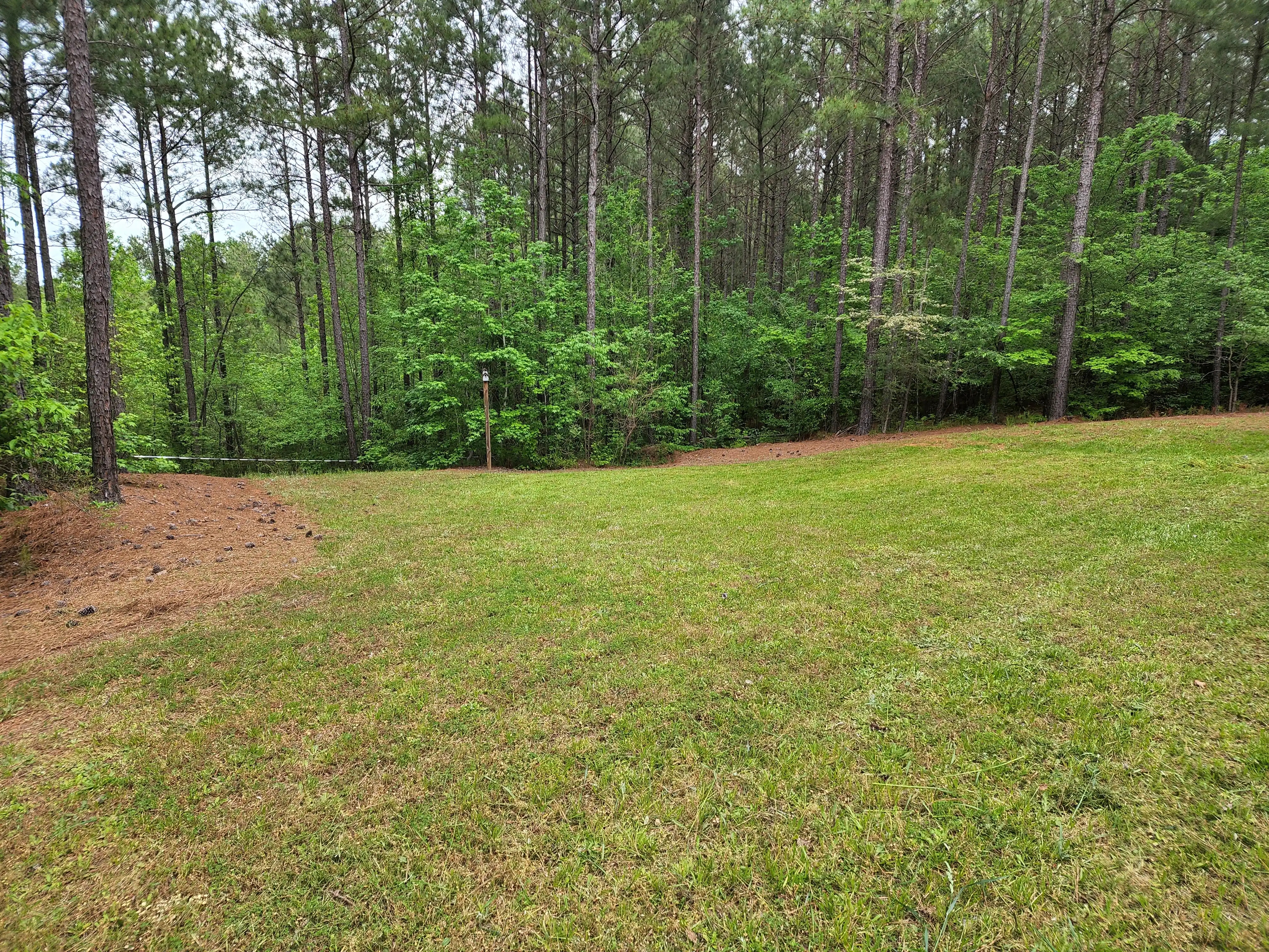 Lawn Care for CJC Landscaping, LLC in Athens, Georgia