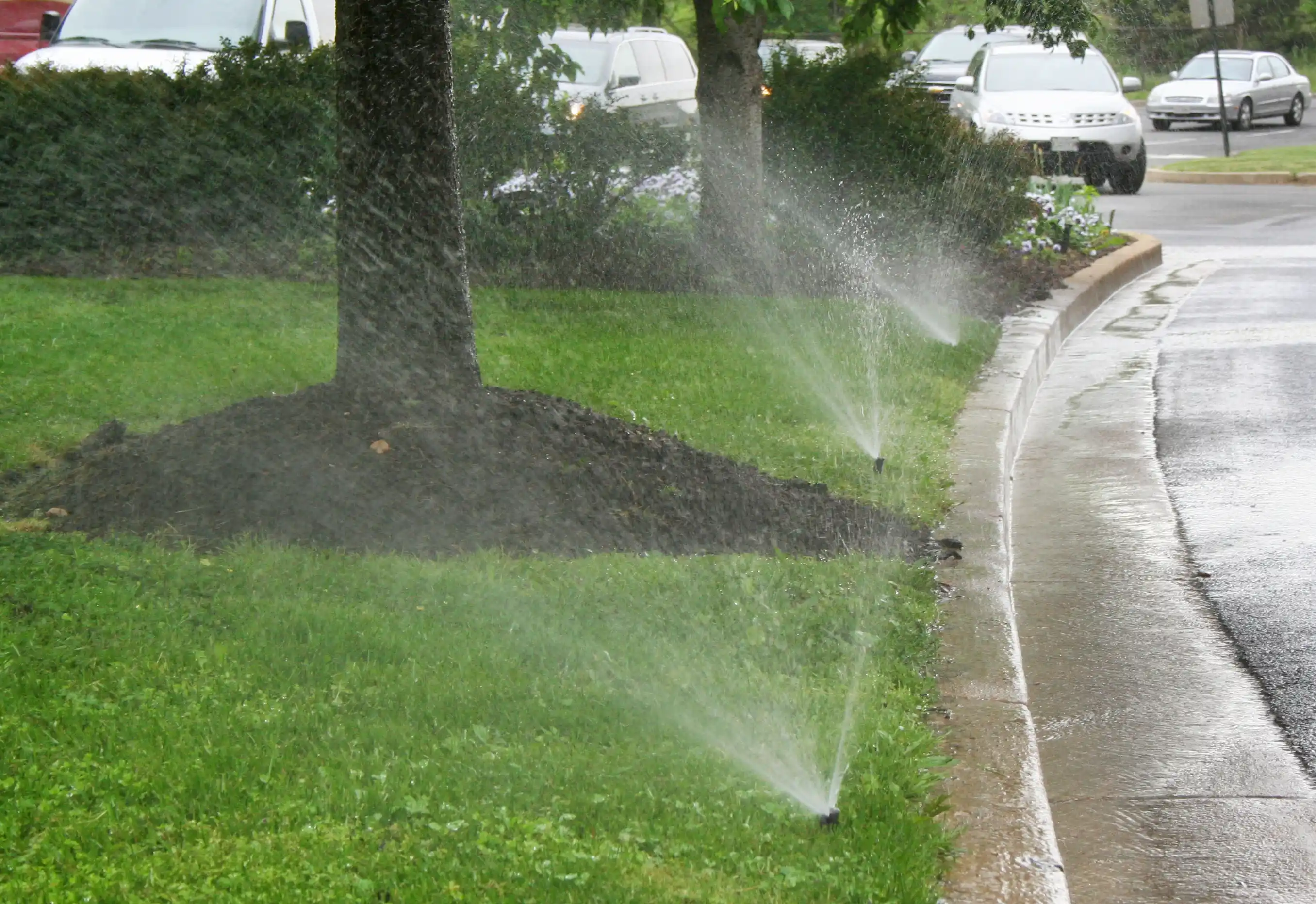 Irrigation for CJC Landscaping, LLC in Athens, Georgia