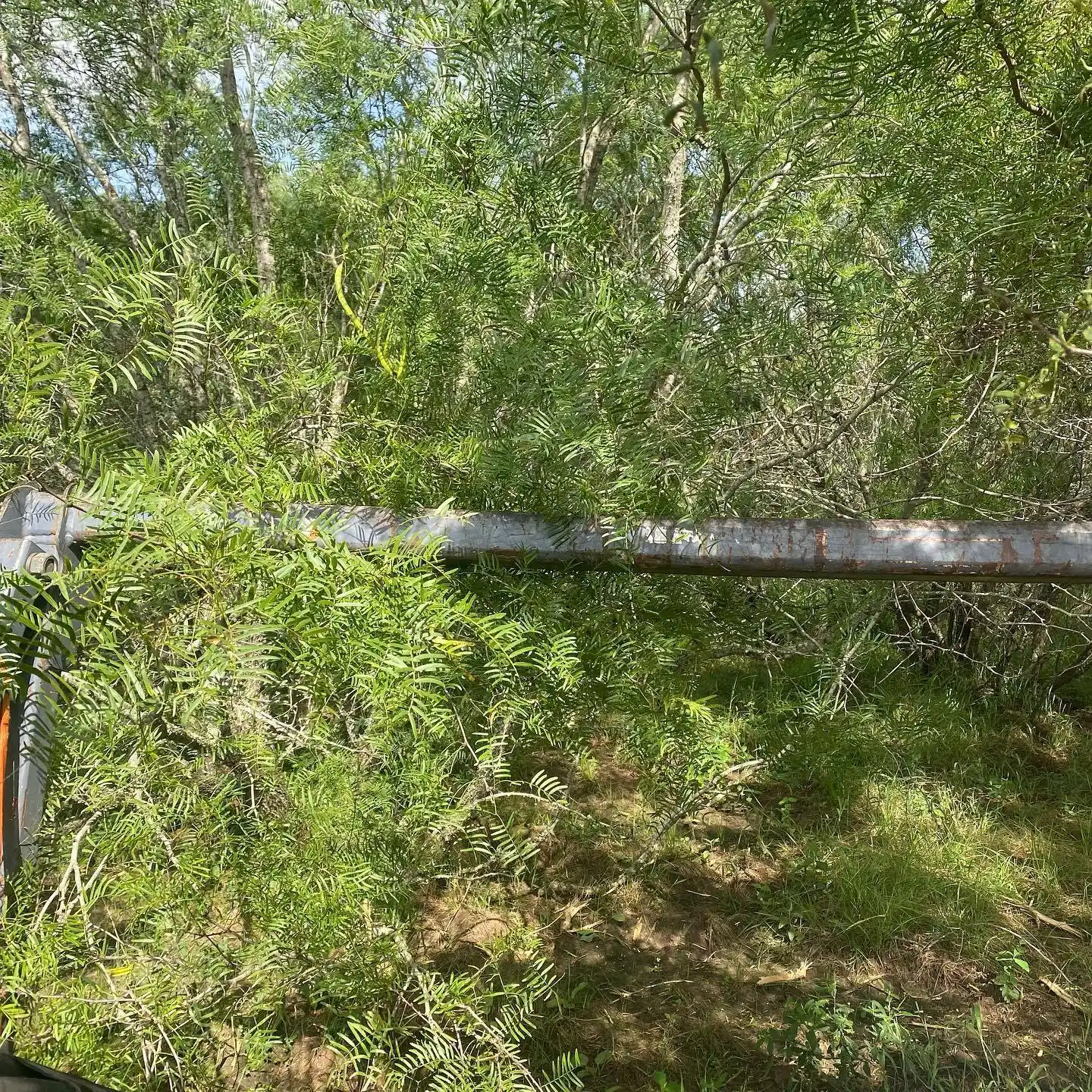 property management in Hallettsville, Texas New Life Property Service