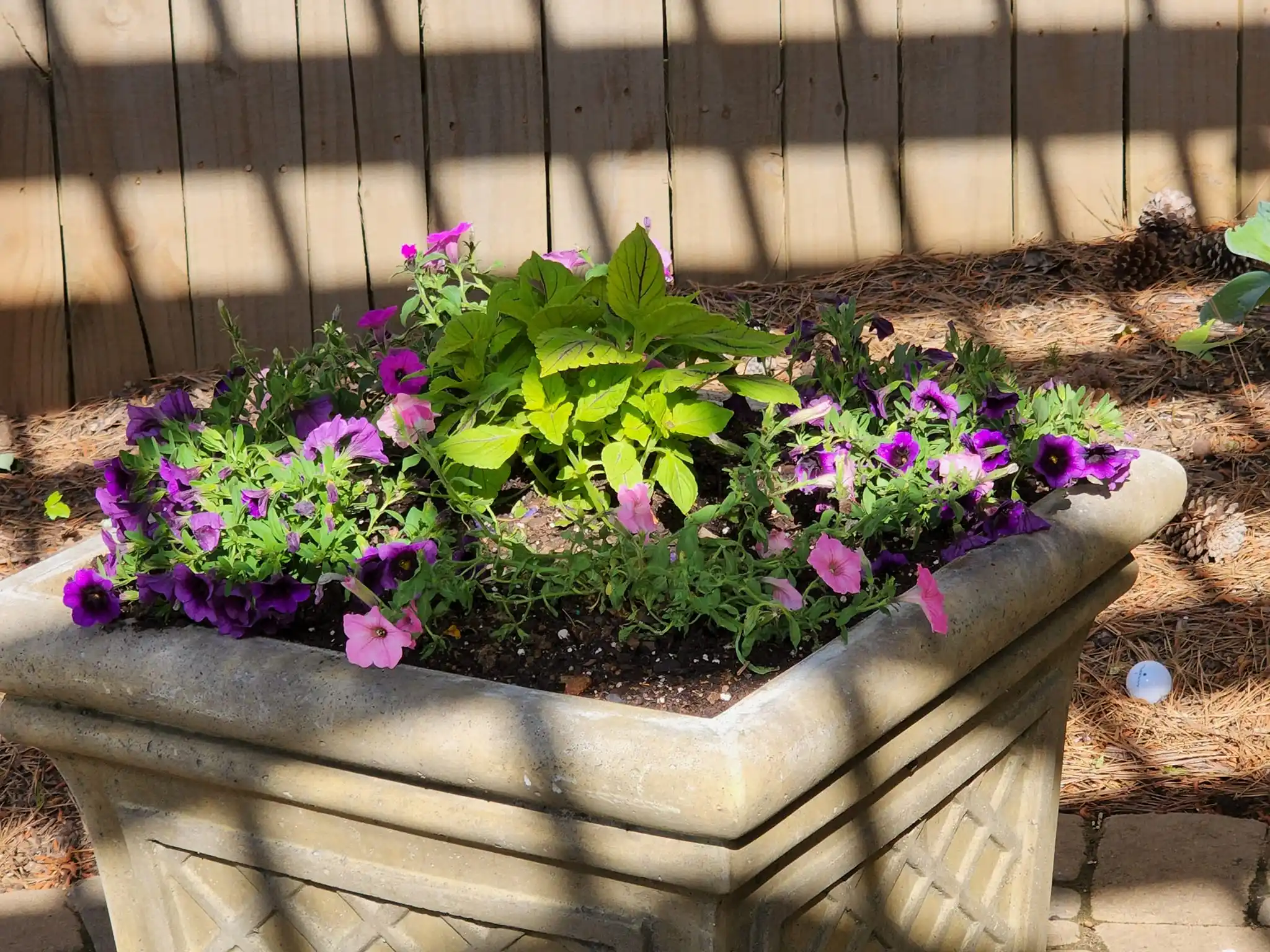 Seed Installation for CJC Landscaping, LLC in Athens, Georgia