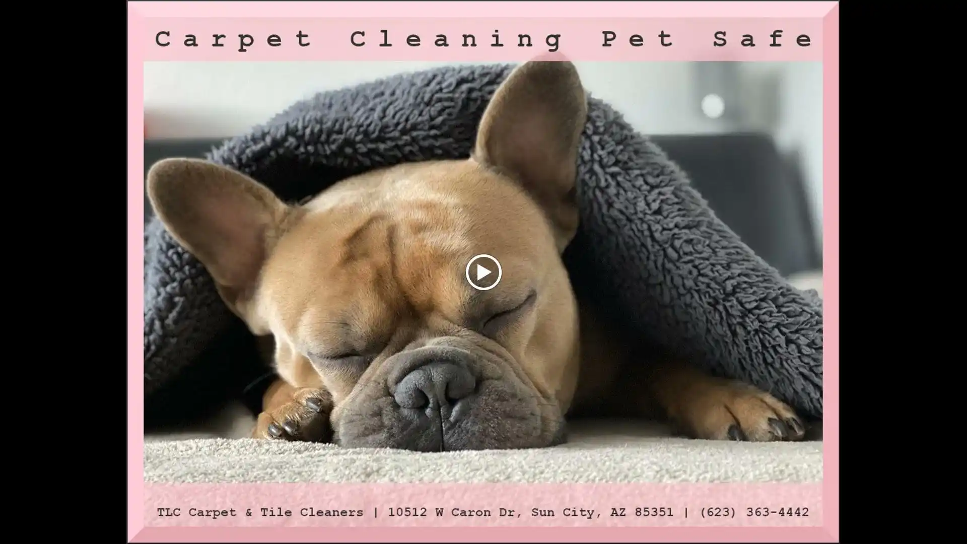 All Photos for TLC Carpet & Tile Cleaners in Surprise, Arizona
