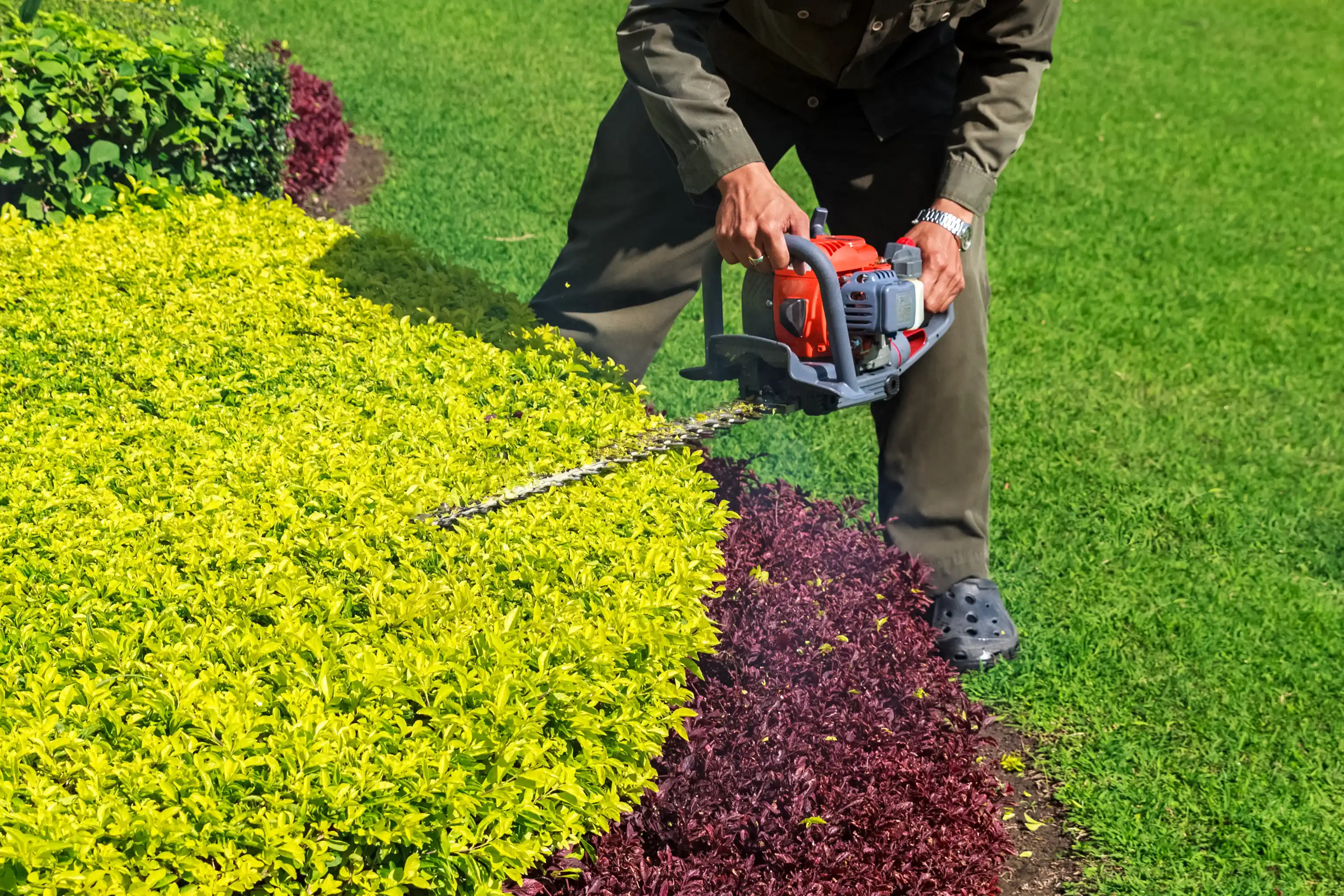 Shrub Trimming for Voyager Automated Solutions in Lebanon, OH
