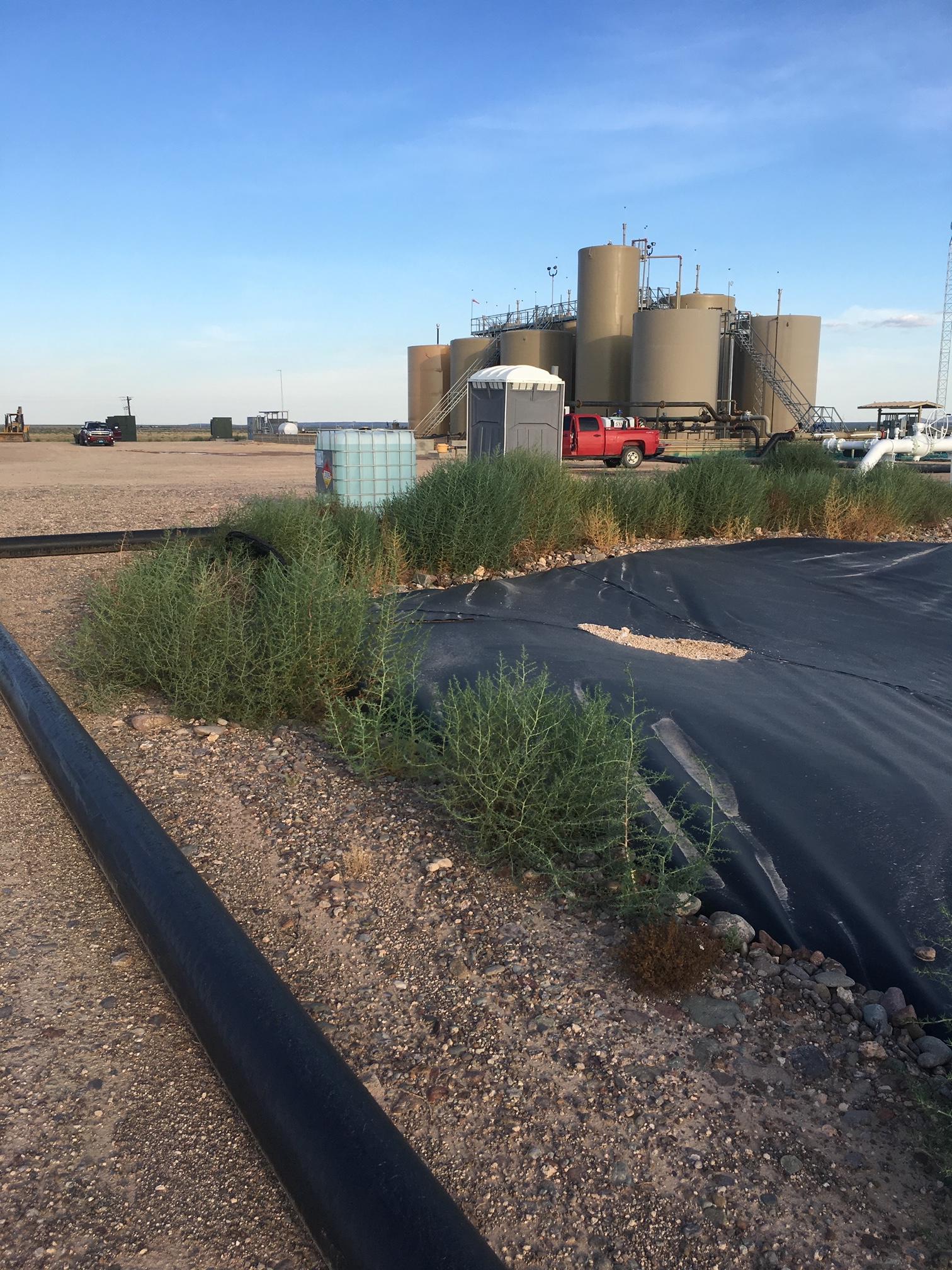 R.O.W. Vegetation Management for Maverick Weed & Pest Control in Pecos, TX