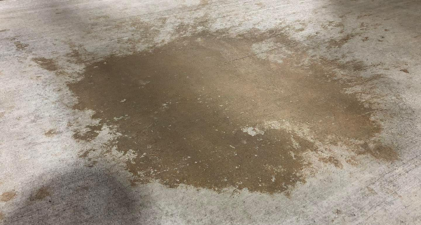 House and Roof Softwash for Oakland Power Washing in Clarksville, TN