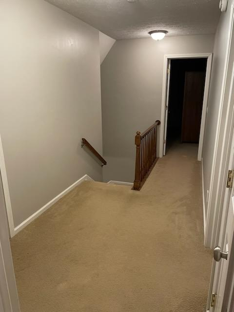 Drywall and Plastering for Roman Painting in Windham, Ohio