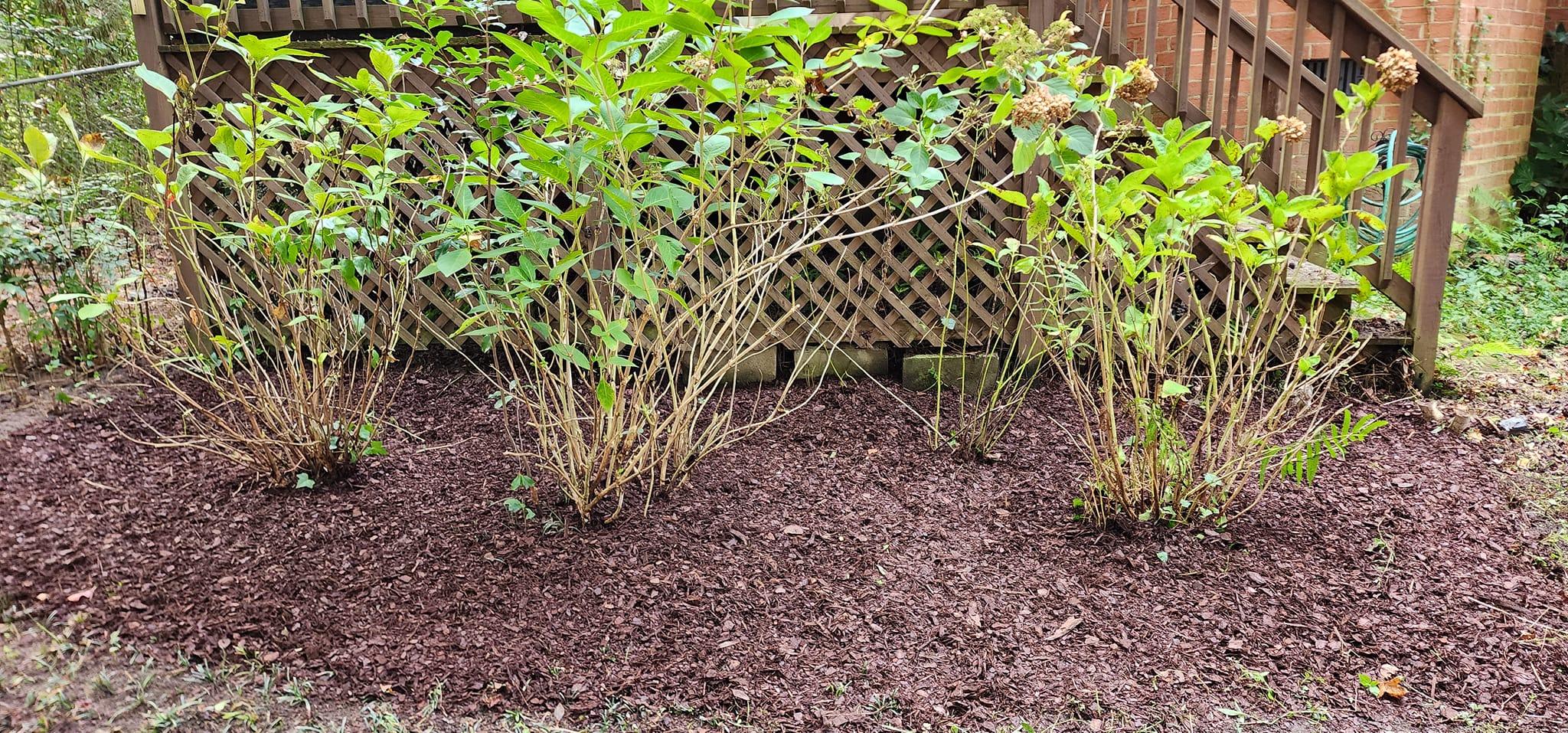 All Photos for Muddy Paws Landscaping in Lugoff, SC