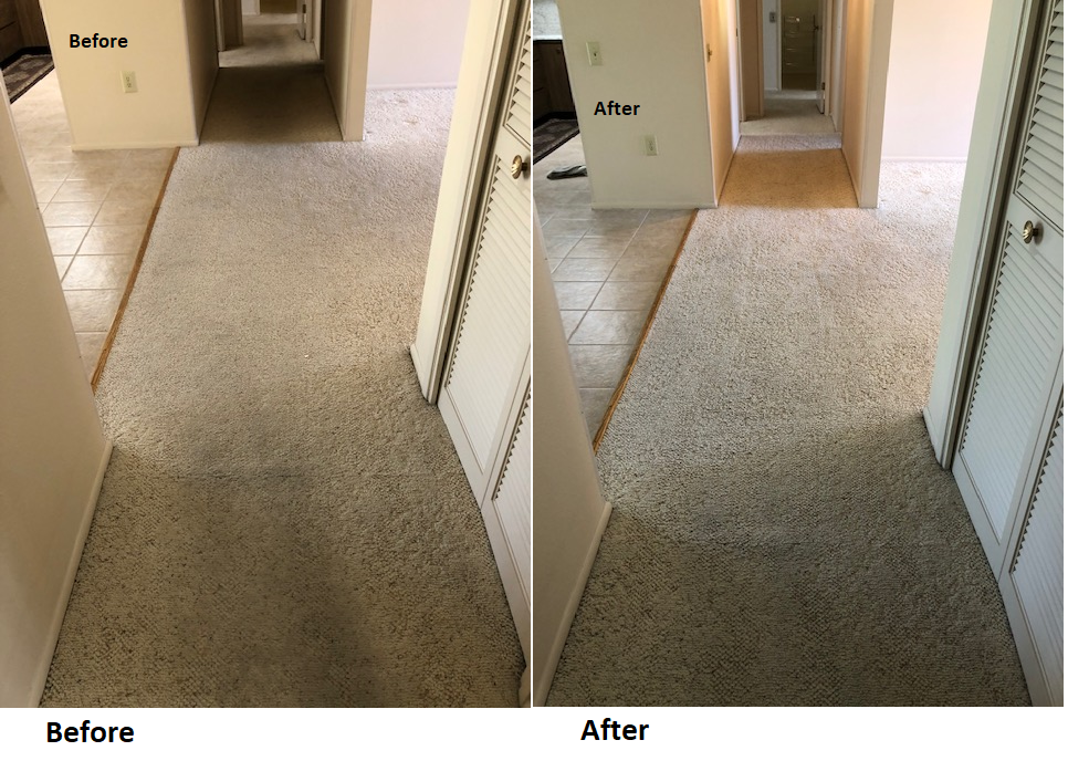 Carpet Cleaning for TLC Tile Cleaning & Restoration in Surprise, Arizona