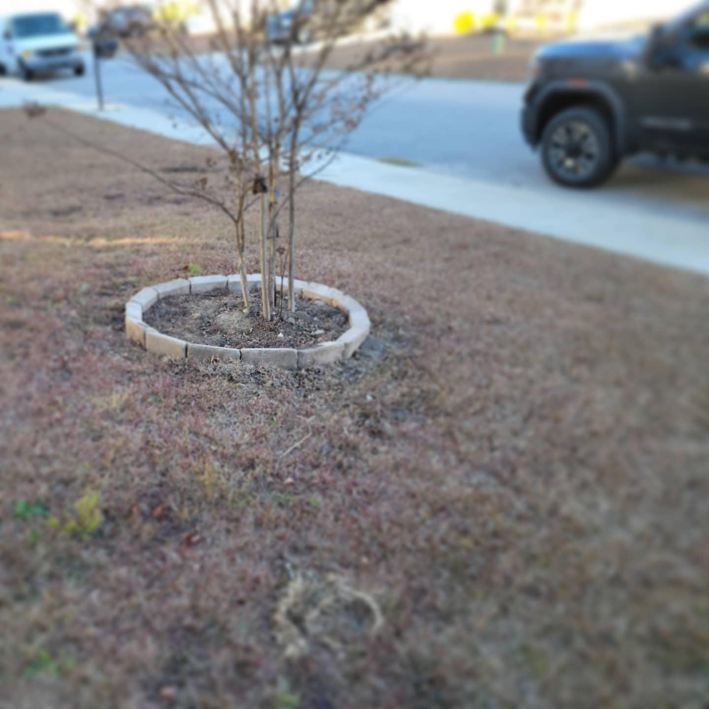 All Photos for Muddy Paws Landscaping in Lugoff, SC