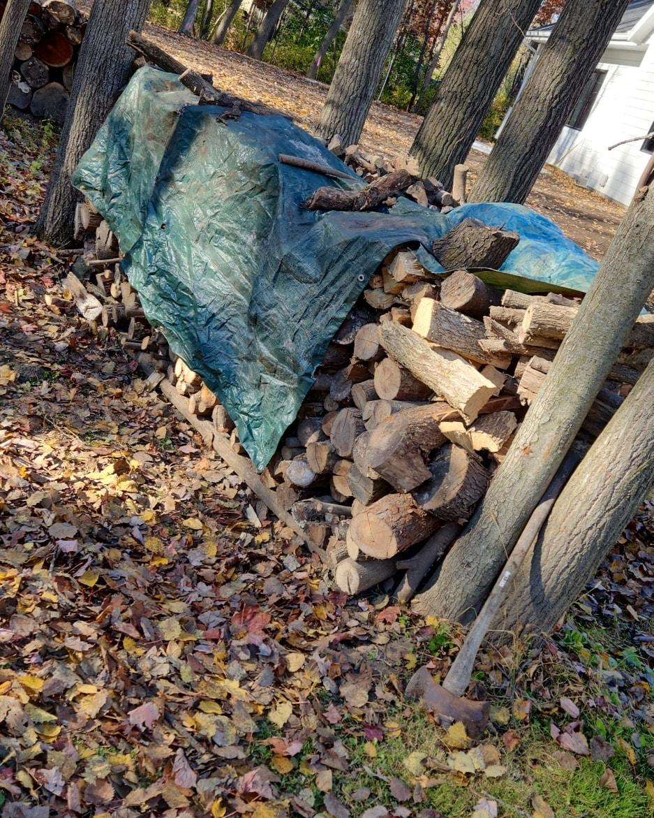 Snow Removal for Royale Lawn Care and Maintenance LLC in Reedsburg, WI