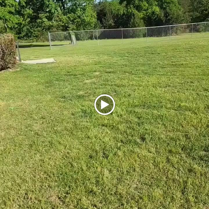 All Photos for Muddy Paws Landscaping in Lugoff, SC