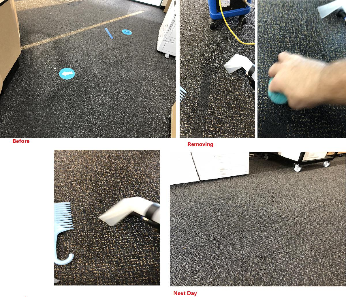 Carpet Cleaning for TLC Tile Cleaning & Restoration in Surprise, Arizona