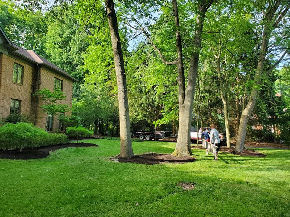 Tree Removal and Trimming for Youngstown Landscape and Design LLC in Youngstown, OH