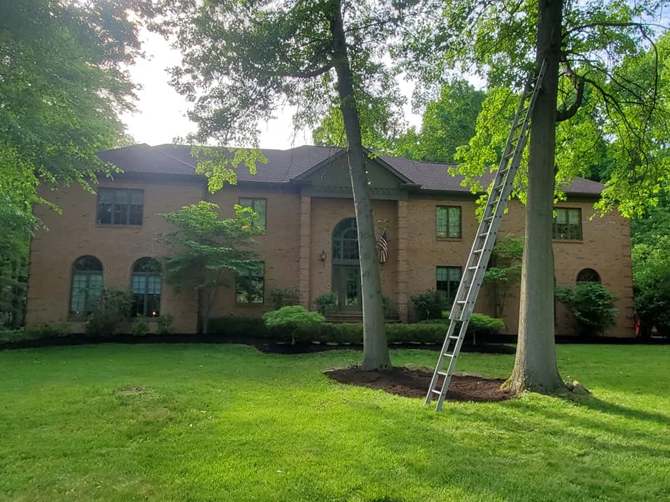Tree Removal and Trimming for Youngstown Landscape and Design LLC in Youngstown, OH