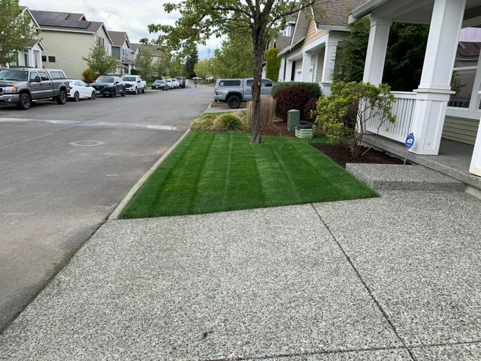 Sod Layouts for Avenscapes NW, LLC in Getchell, Washington