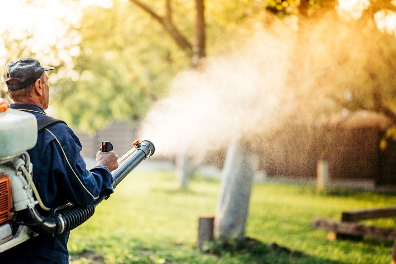 All Natural Mosquito Treatments for Perillo Property maintenance in Lagrange, NY