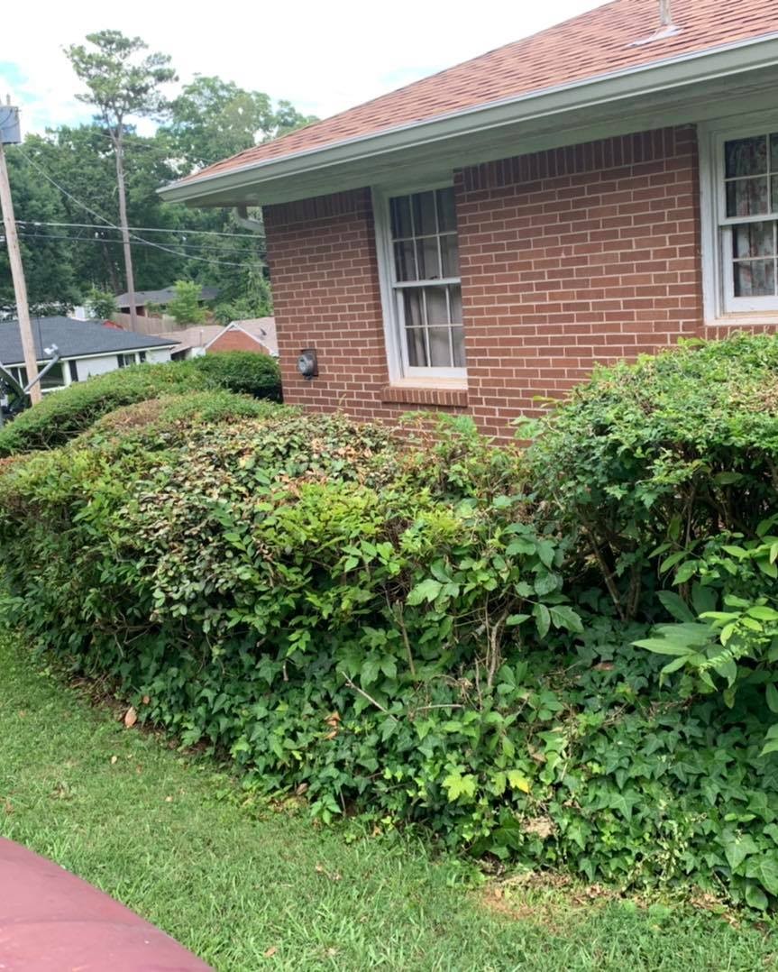 Shrub Trimming for Two Brothers Landscaping in Atlanta, Georgia