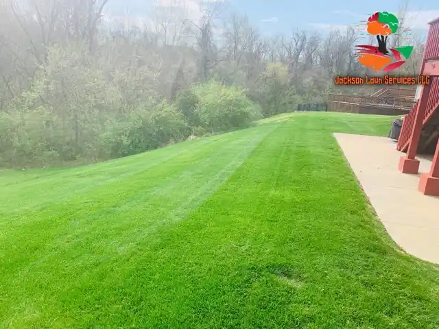 Mowing for Jackson Lawn Services LLC in Florissant, MO