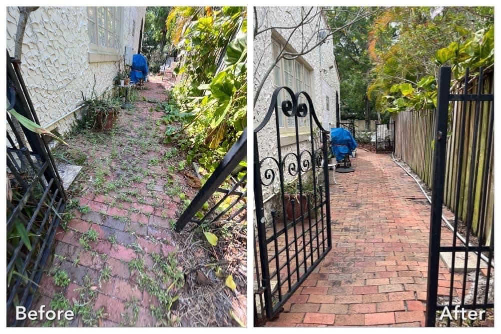 Fall and Spring Clean Up for Verimay's Garden and Landscaping in Hillsborough County, FL