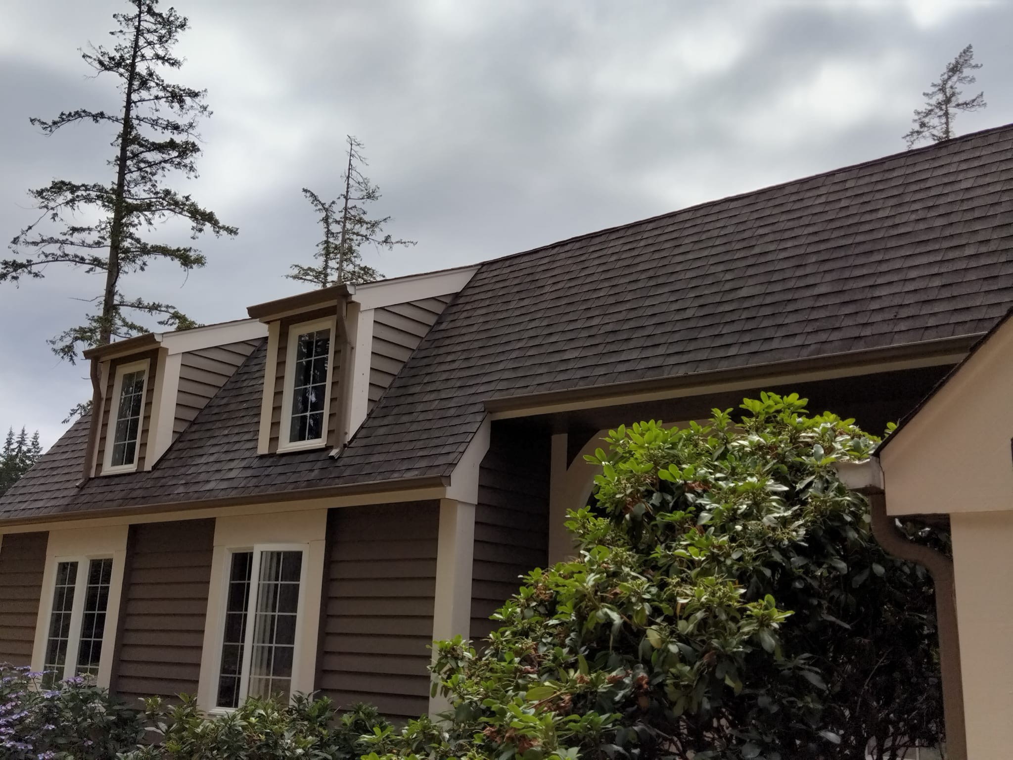 Roof Cleaning for Perben Painting and Landscape LLC in Mount Vernon, WA