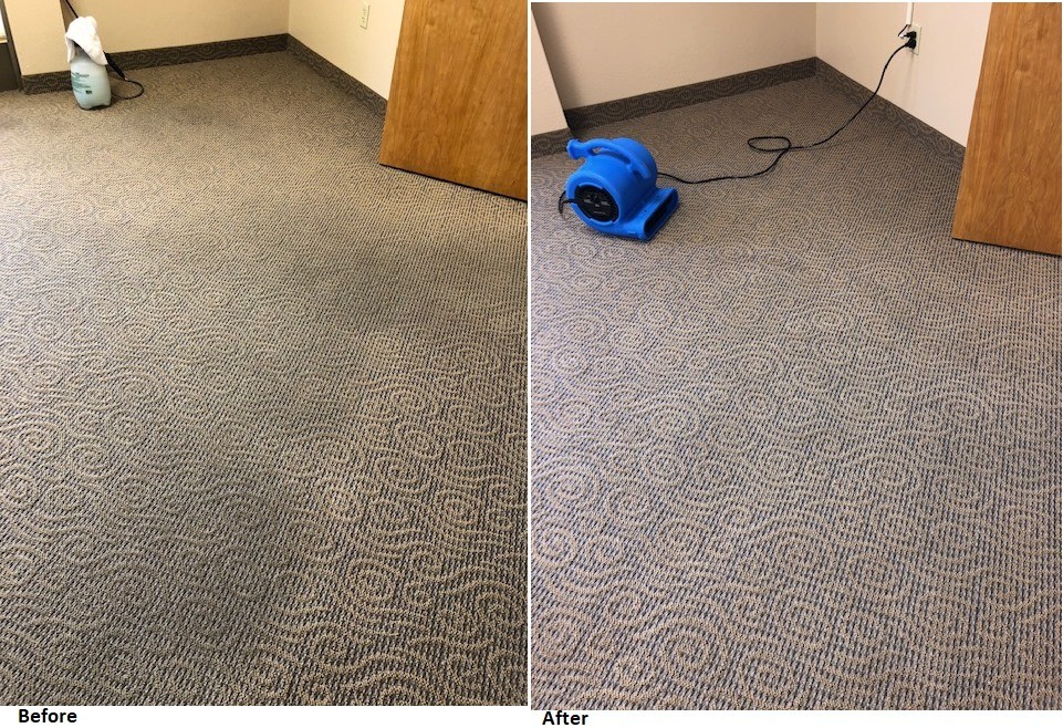 Carpet Cleaning for TLC Carpet & Tile Cleaners in Surprise, Arizona