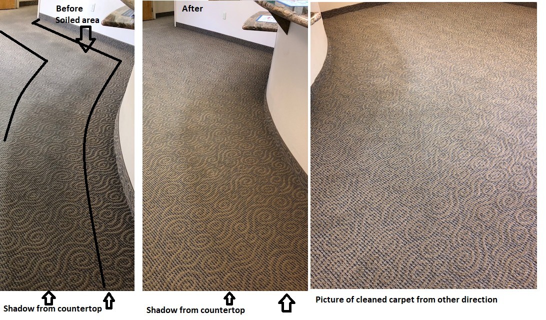 Carpet Cleaning for TLC Carpet & Tile Cleaners in Surprise, Arizona