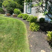 Other Lawn Services for Bumblebee Lawn Care LLC in Albany, New York