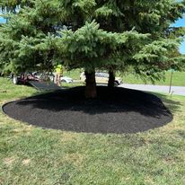 Other Lawn Services for Bumblebee Lawn Care LLC in Albany, New York