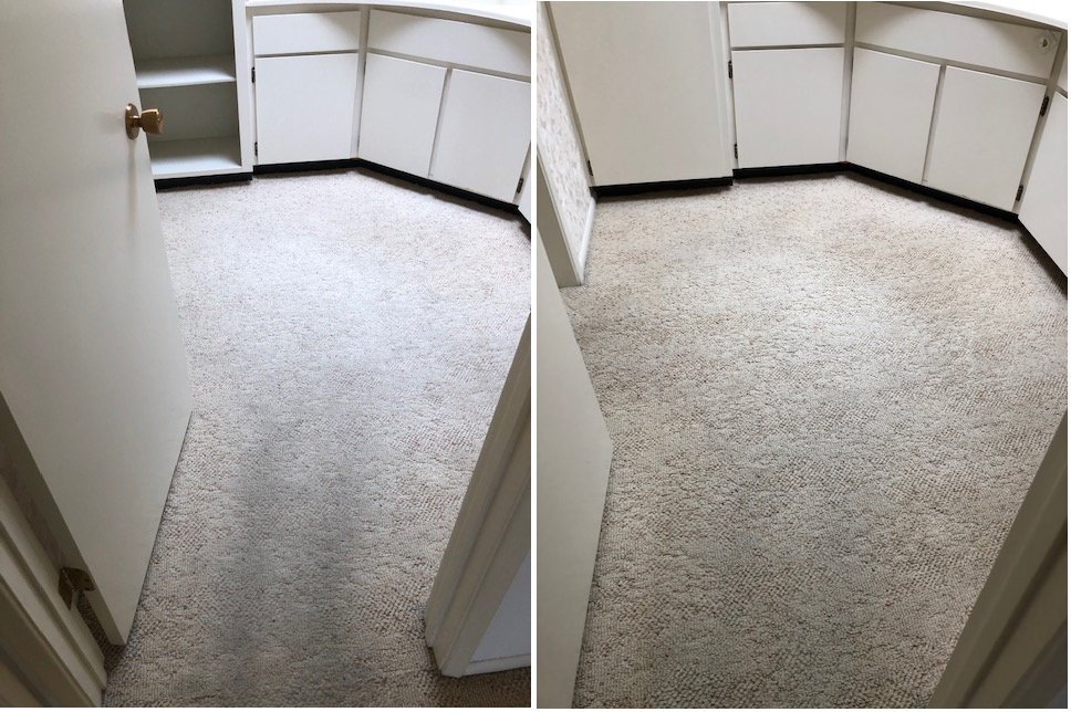 Carpet Cleaning for TLC Carpet & Tile Cleaners in Surprise, Arizona