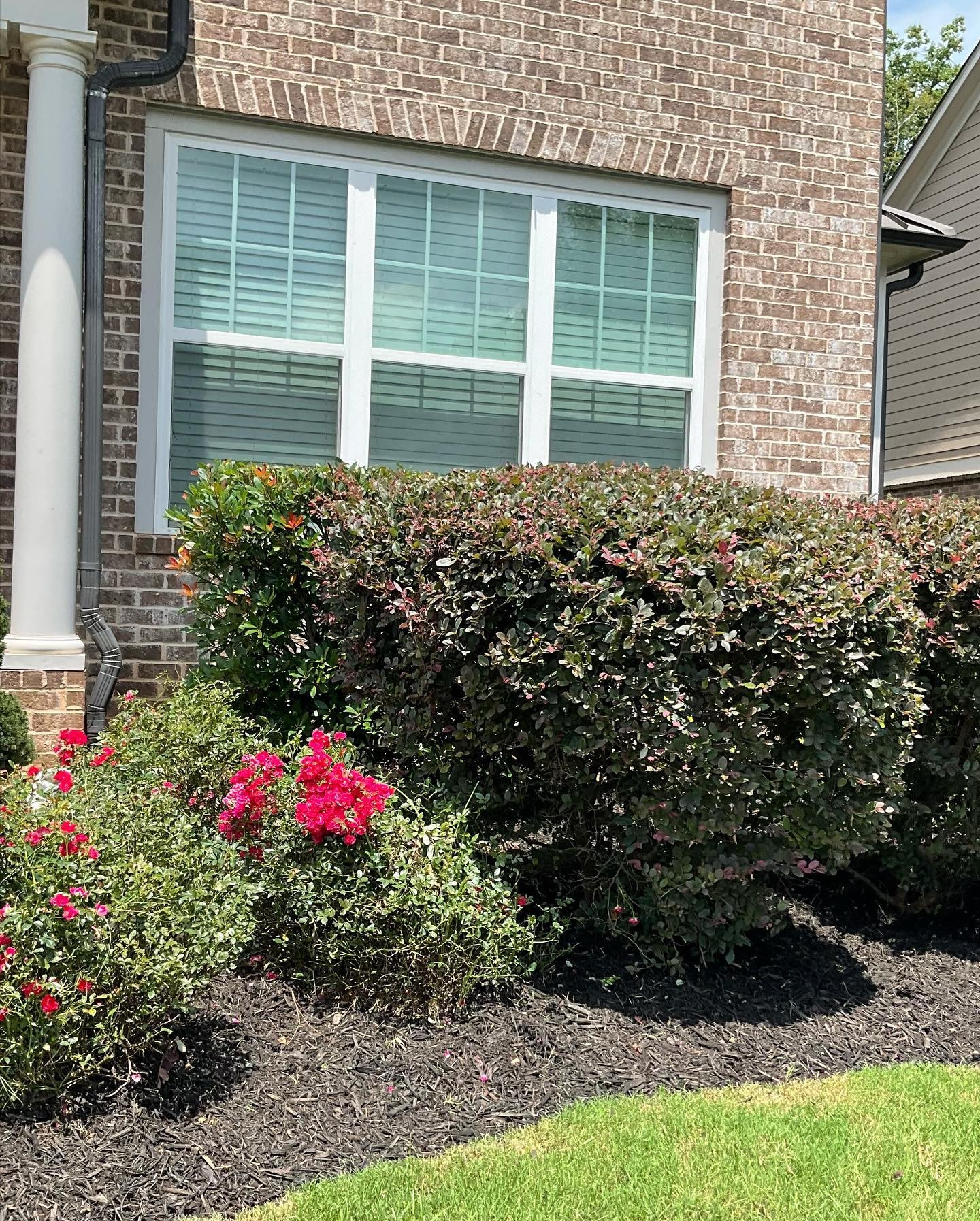 Shrub Trimming for Two Brothers Landscaping in Atlanta, Georgia