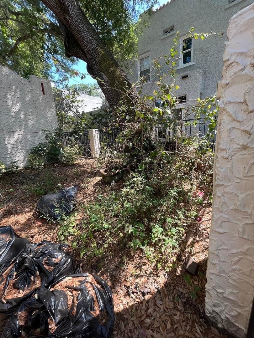 Fall and Spring Clean Up for Verimay's Garden and Landscaping in Hillsborough County, FL