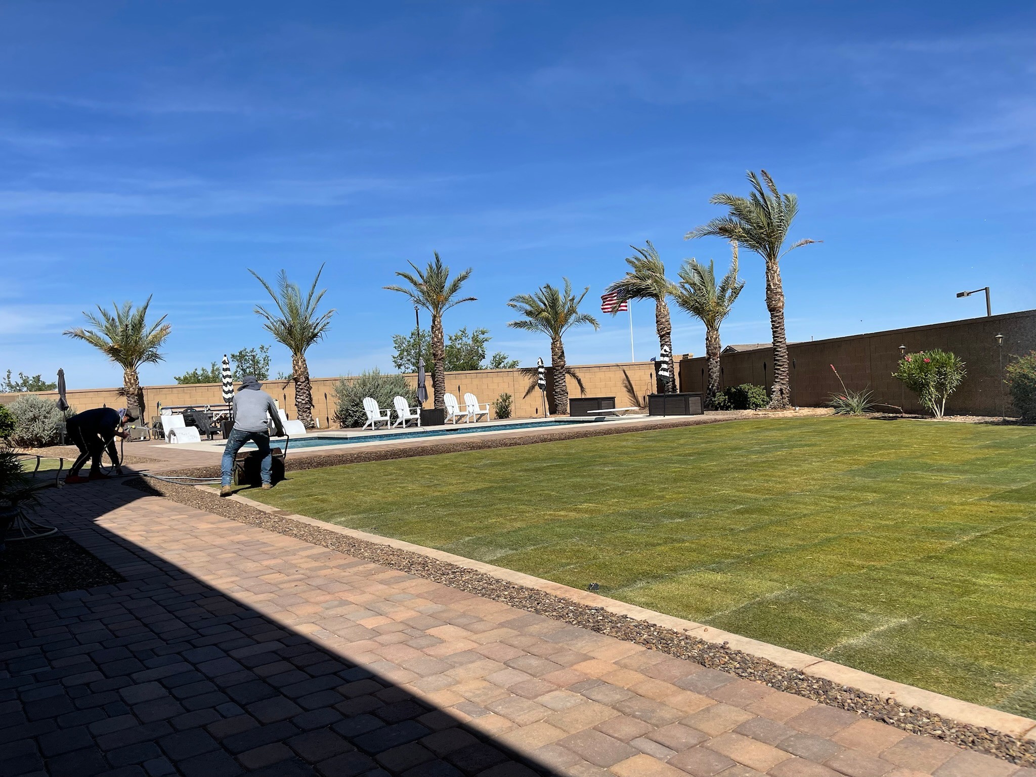 Sprinkler System Repair and lawn repair for Bobbys Palm and Tree Service LLC in Surprise, AZ