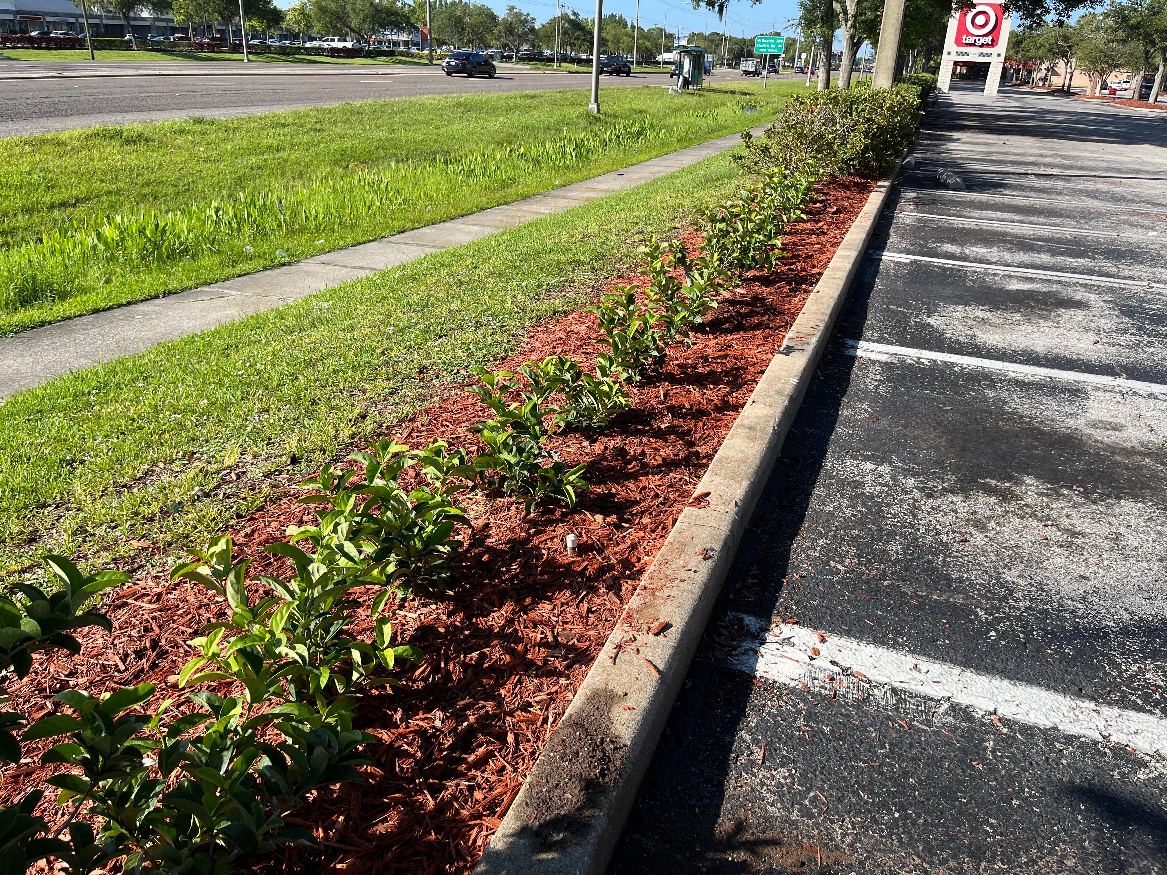 Lawn Care for Verimay's Garden and Landscaping in Hillsborough County, FL