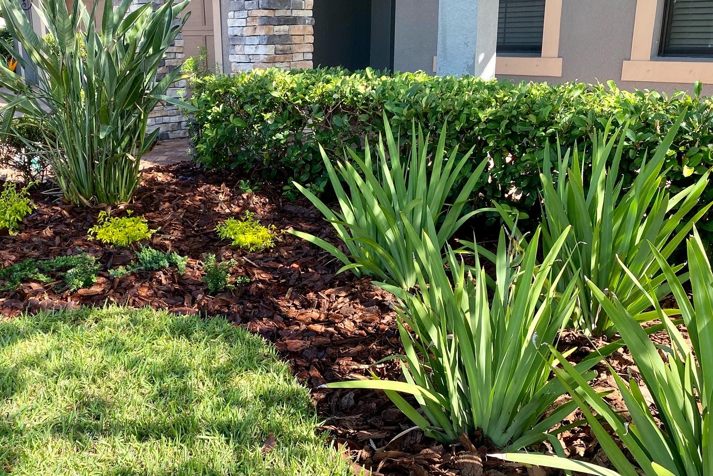 Lawn Care for Verimay's Garden and Landscaping in Hillsborough County, FL