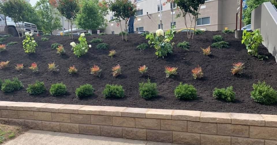 Lawn Care for The Right Price Right Choice Lawn Care Services in Murfreesboro, TN
