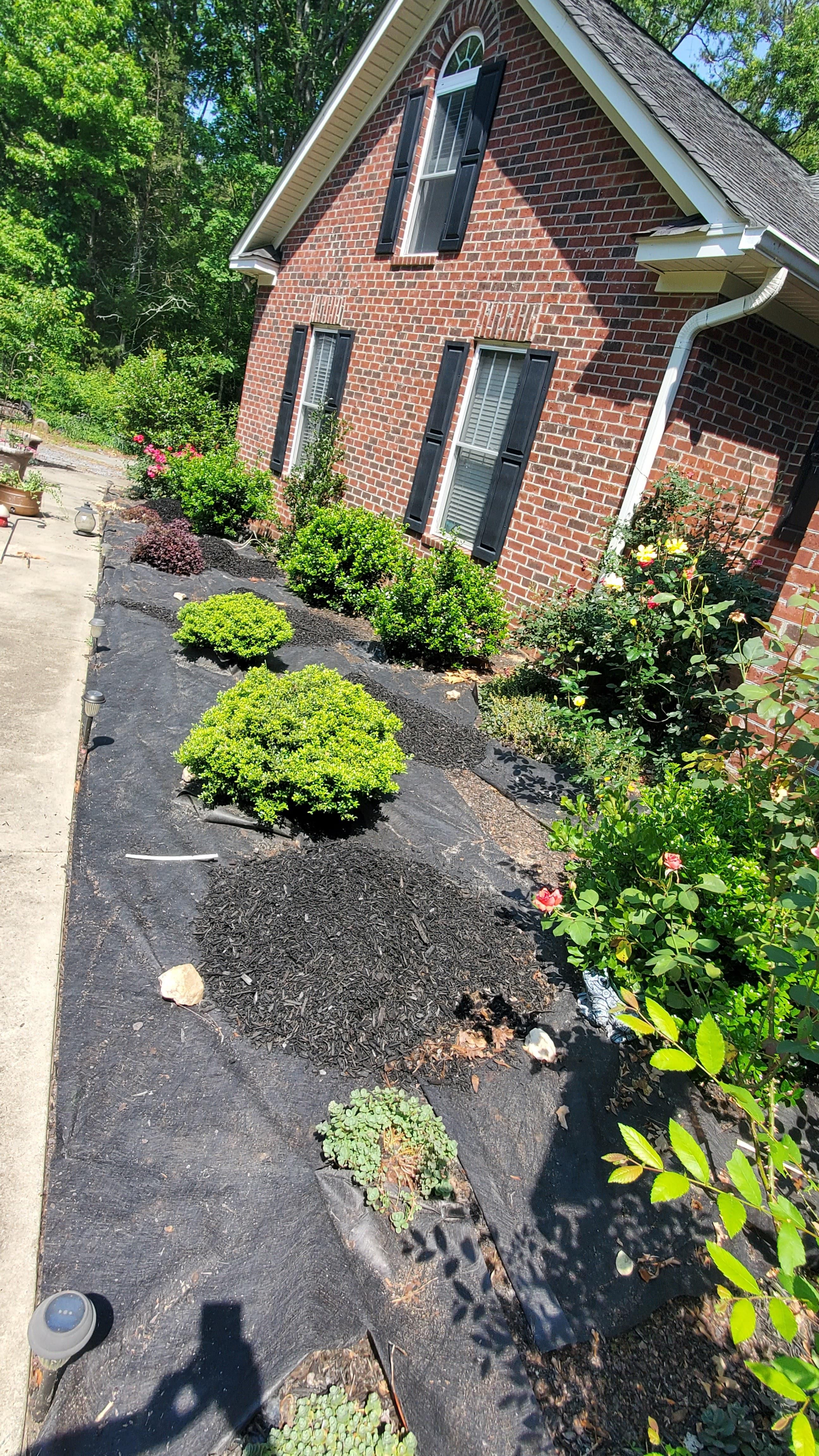 All Photos for Muddy Paws Landscaping in Lugoff, SC
