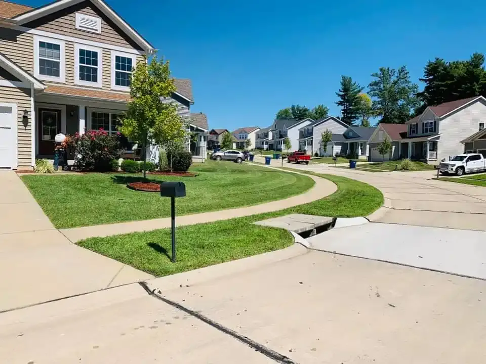 Leaf Removal  for Jackson Lawn Services LLC in Florissant, MO