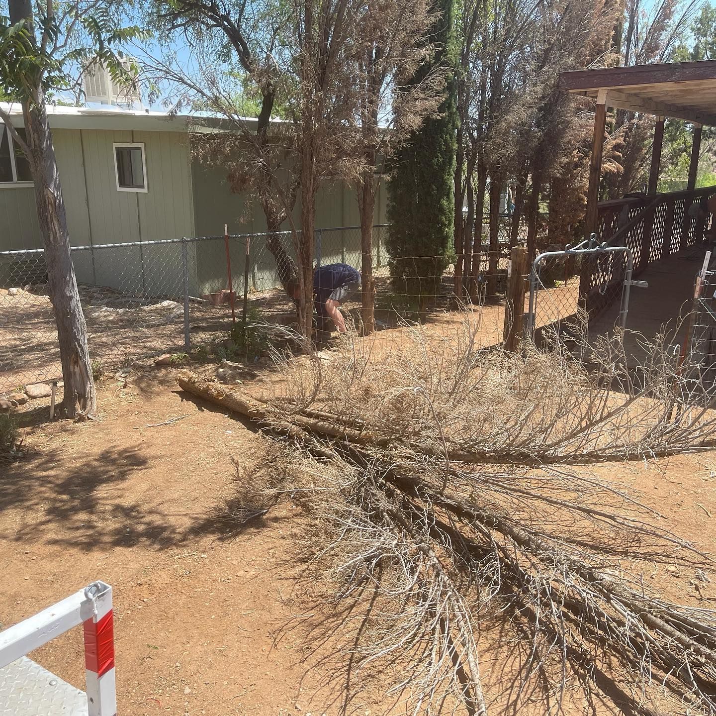 Yard Waste Removal for FFC Property Care Solutions in Camp Verde, Arizona
