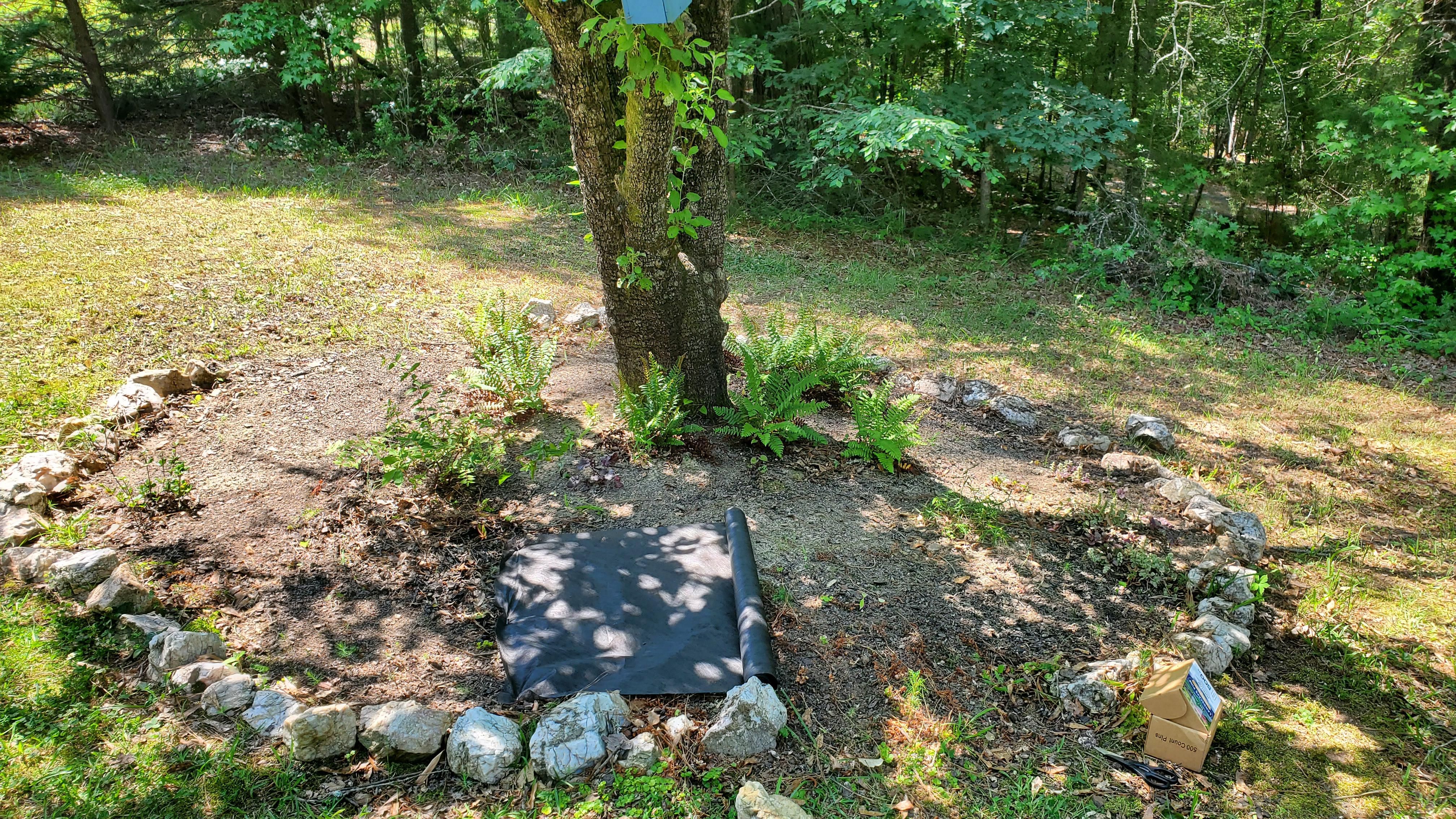 All Photos for Muddy Paws Landscaping in Lugoff, SC