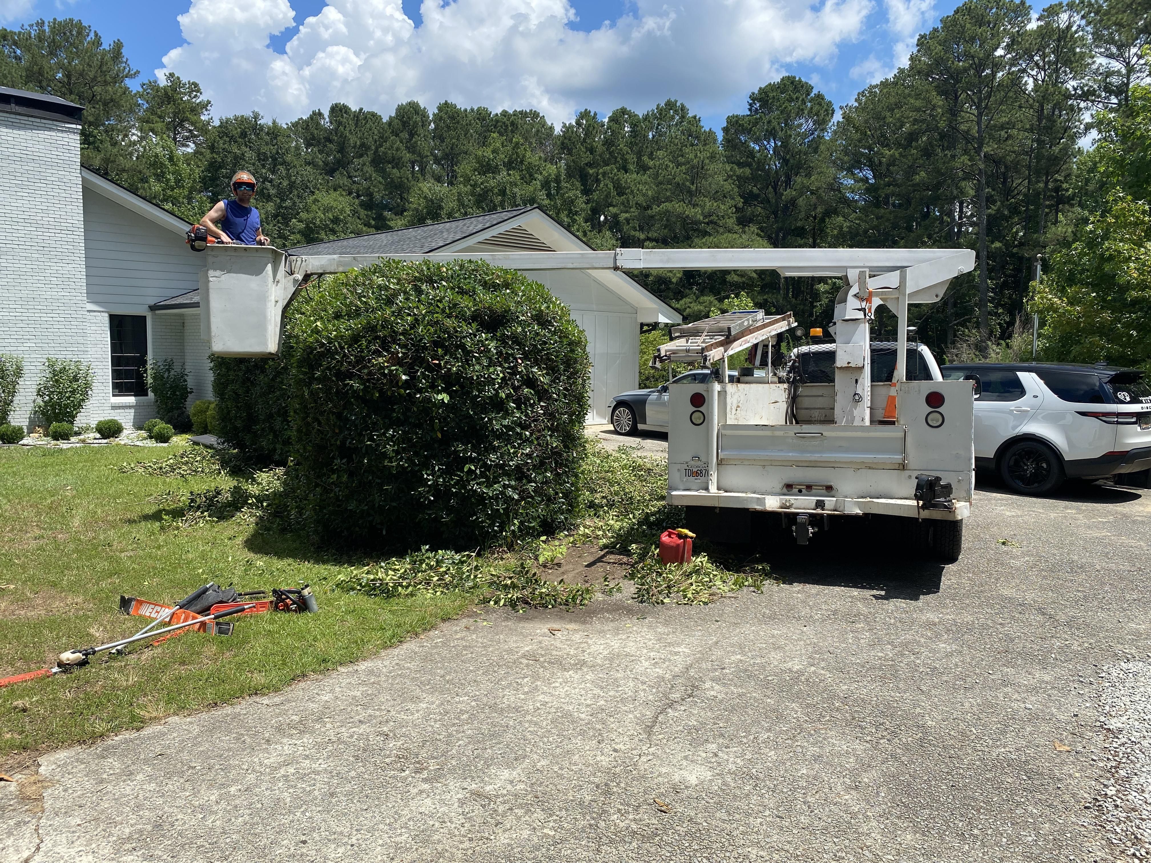 Stump-Grinding for Fayette Property Solutions in Fayetteville, GA