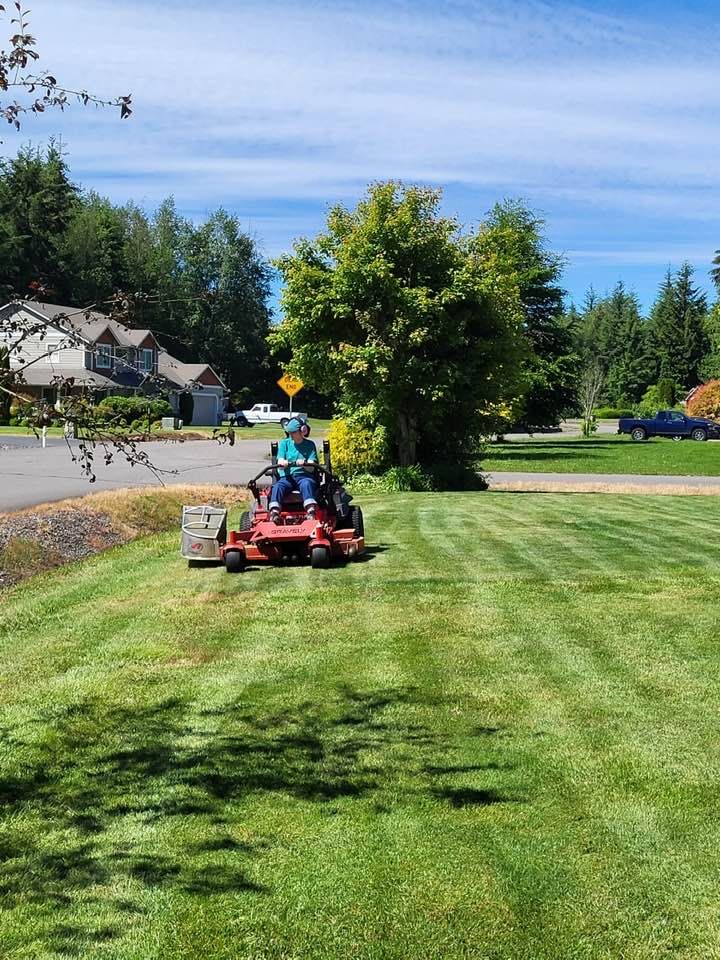 Sod Layouts for Avenscapes NW, LLC in Getchell, Washington