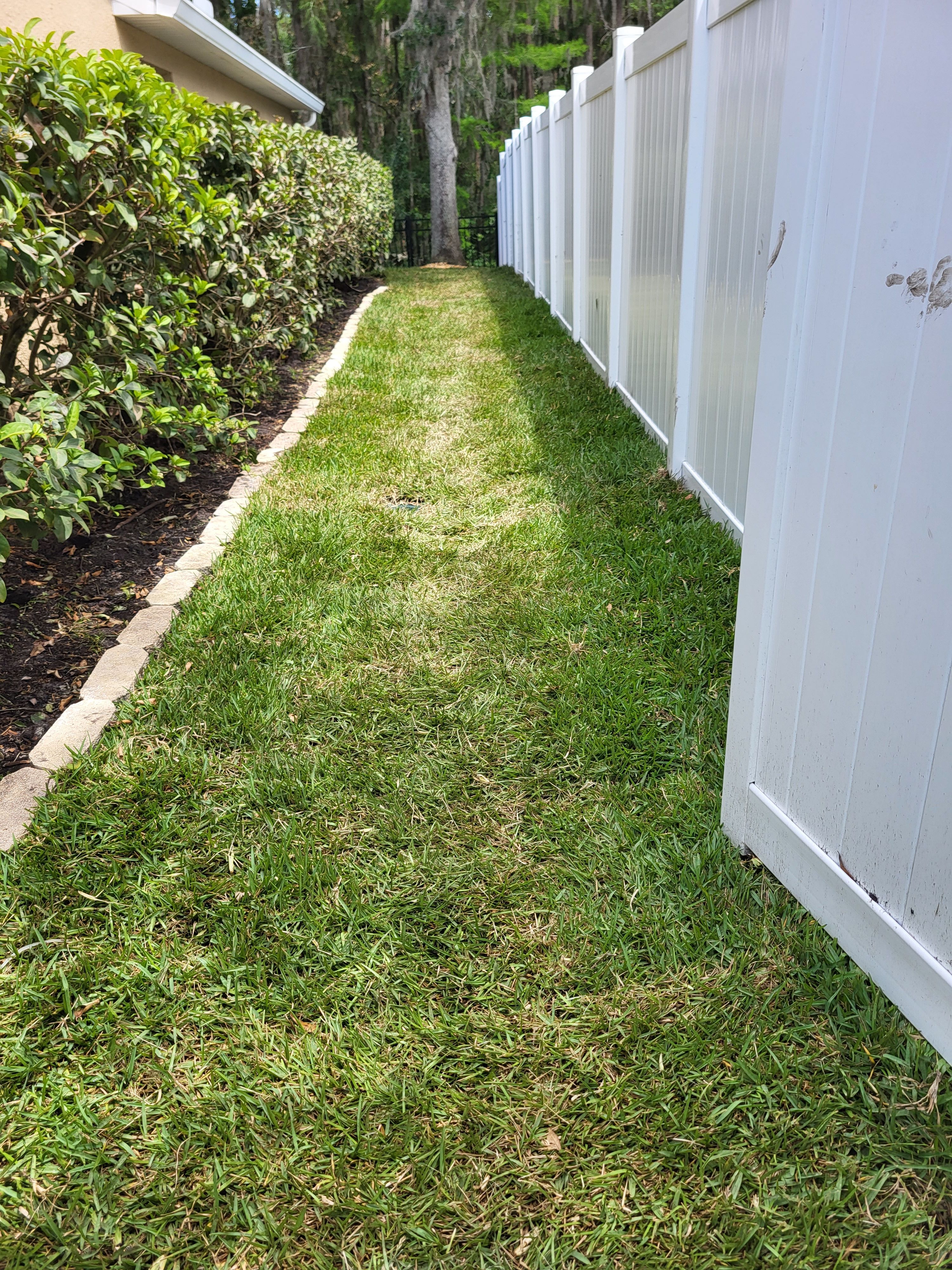 French Drains for Sam's French Drains and Landscape in Orlando, Florida