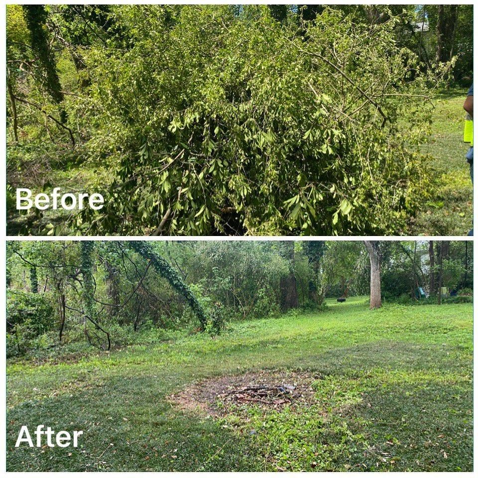Brush Cutting and Removal for Fayette Property Solutions in Fayetteville, GA