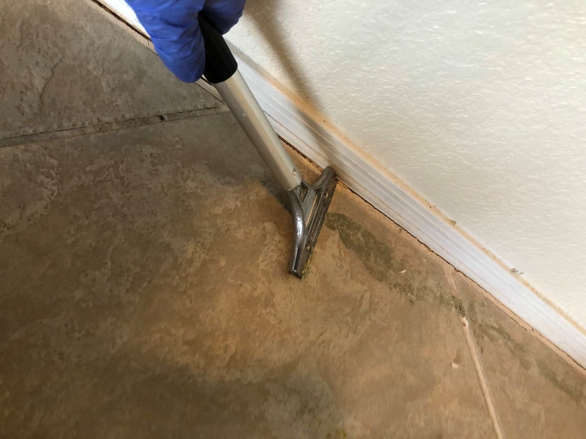 Carpet Cleaning for TLC Tile Cleaning & Restoration in Surprise, Arizona