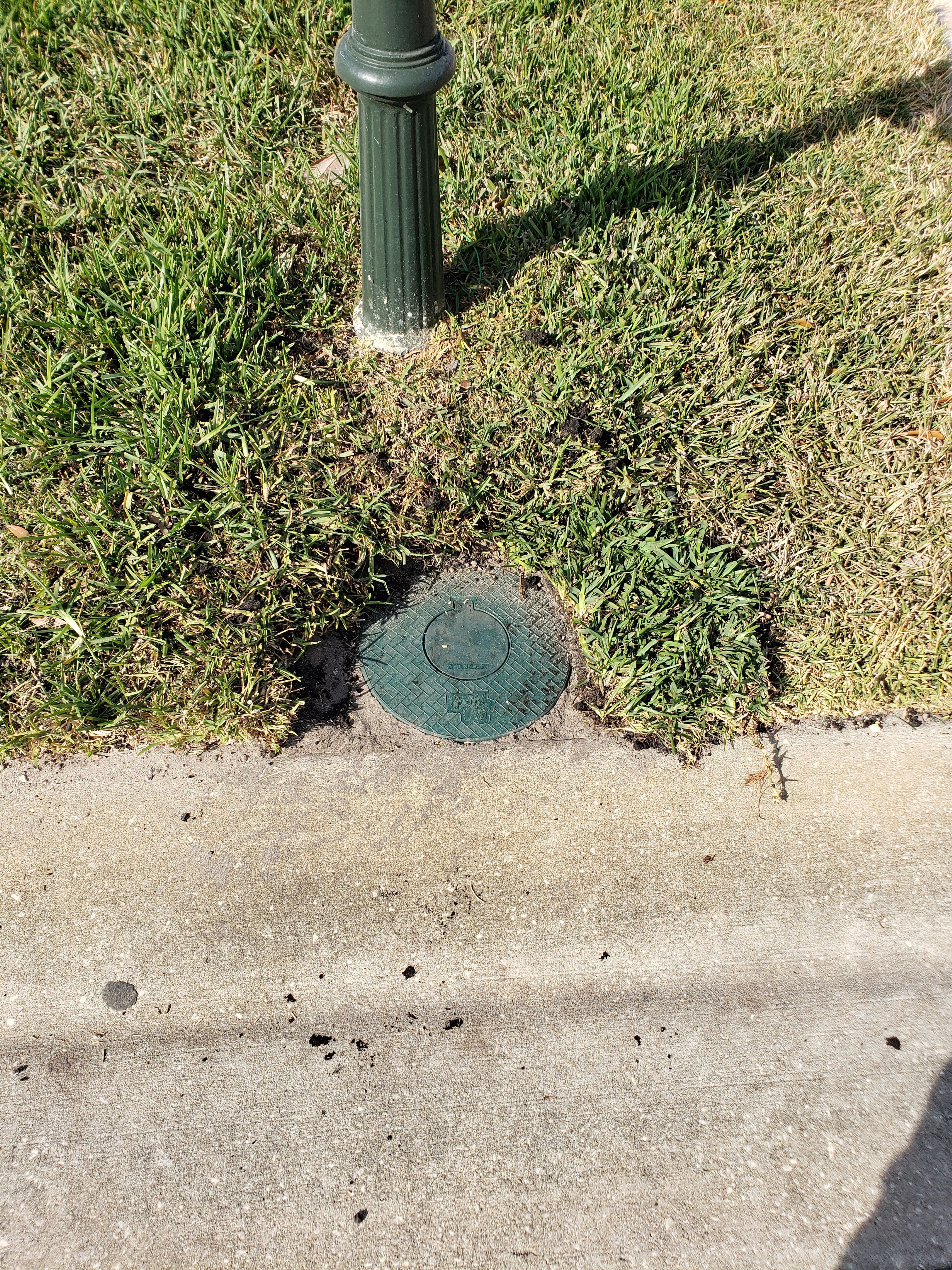 French Drains for Sam's French Drains and Landscape in Orlando, Florida
