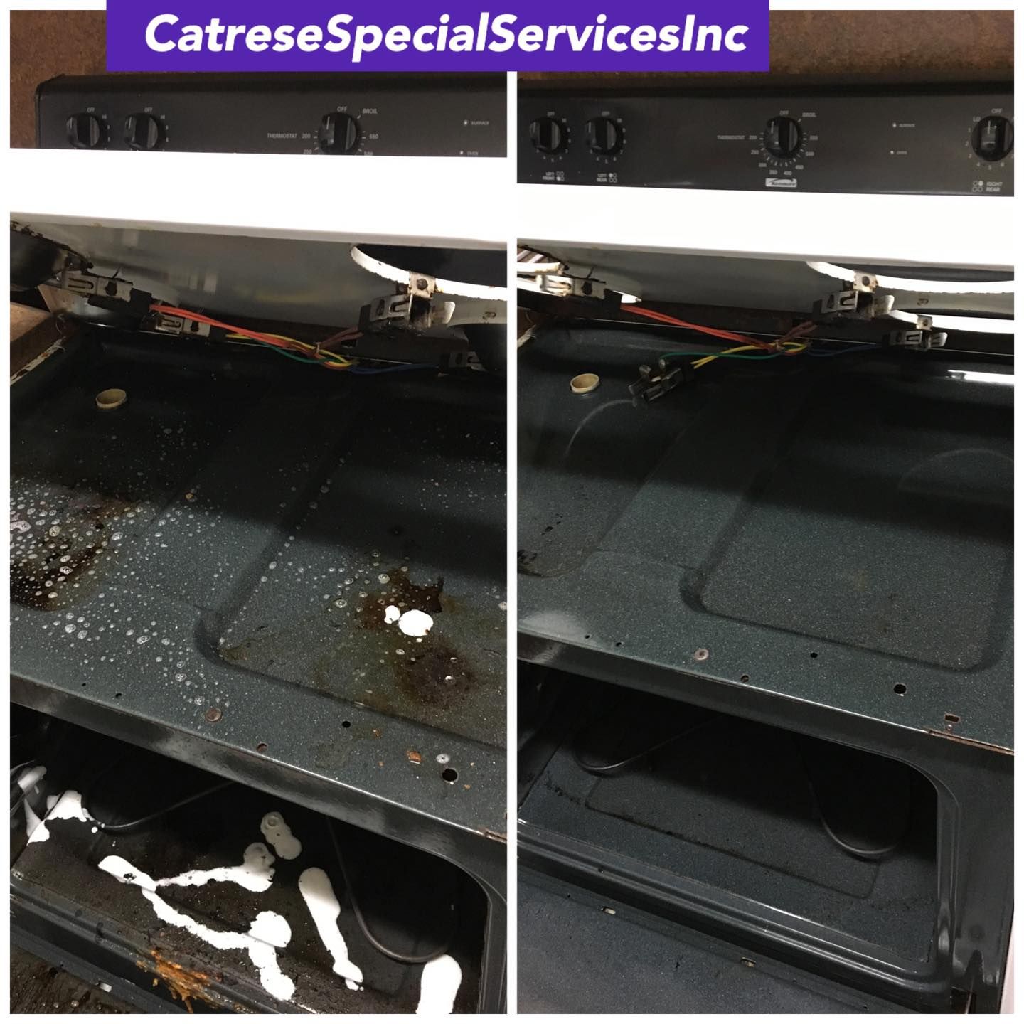 Photo number 4 of Catrese Special Services Inc.'s best work performing a null job