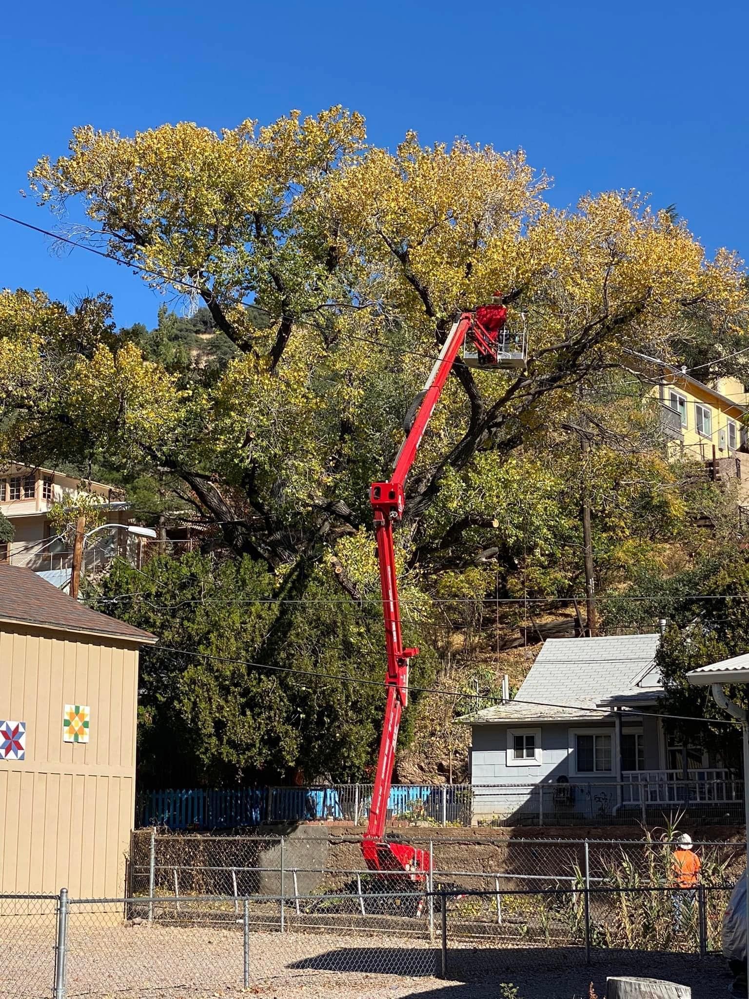 Stump Removal for By Faith Landscaping in Sierra Vista, AZ