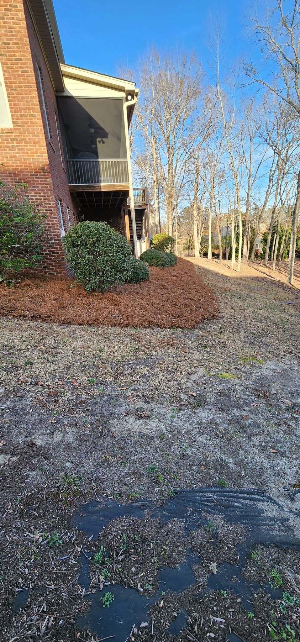 All Photos for Muddy Paws Landscaping in Lugoff, SC